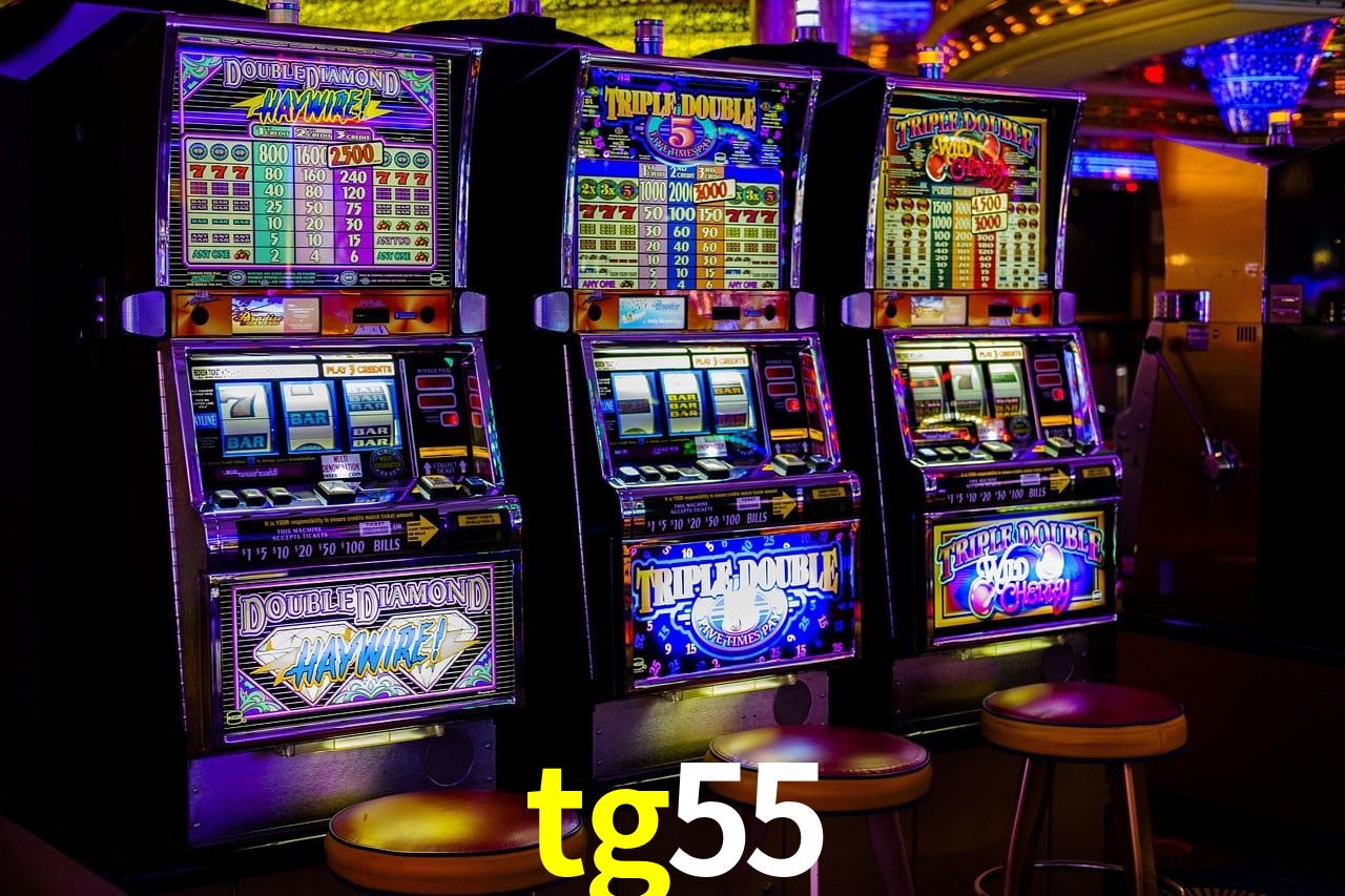 Experiência VIP tg55